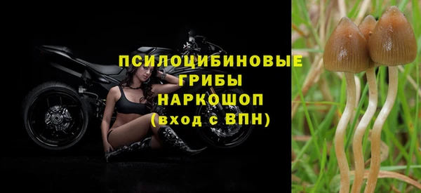 прущие крисы Сатка
