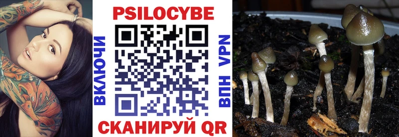 Галлюциногенные грибы Psilocybine cubensis  купить   Усть-Катав 